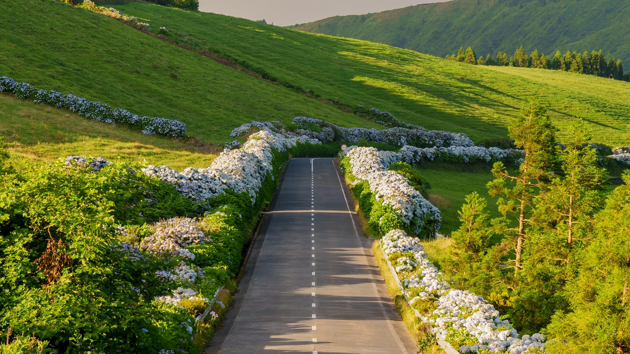 Top Azores Tours: Explore the Islands with Expert Guides